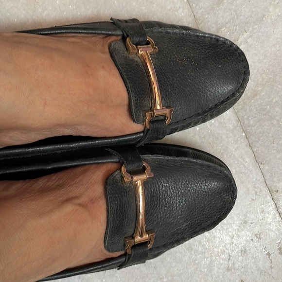 wings Shoes - Loafers